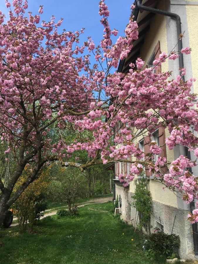 Ferienhof Weber Nieratz Wangen im Allgäu Zewnętrze zdjęcie