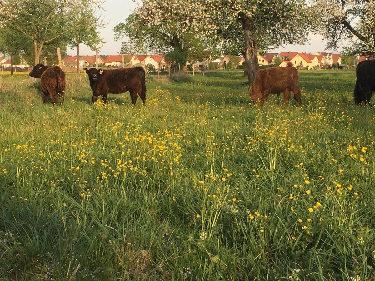 Ferienhof Weber Nieratz Wangen im Allgäu Zewnętrze zdjęcie