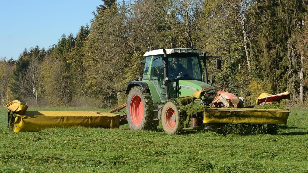 Ferienhof Weber Nieratz Wangen im Allgäu Zewnętrze zdjęcie