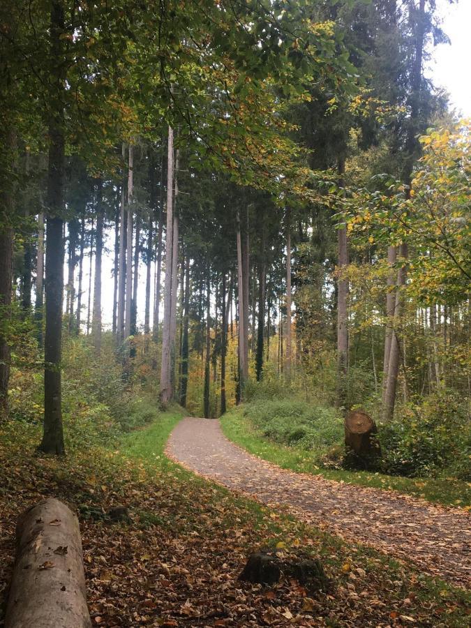 Ferienhof Weber Nieratz Wangen im Allgäu Zewnętrze zdjęcie