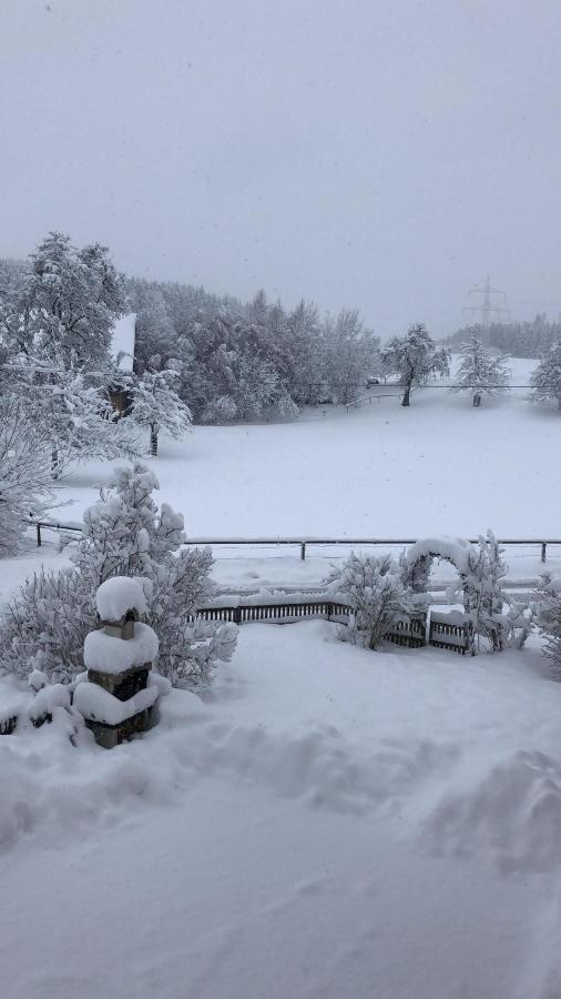 Ferienhof Weber Nieratz Wangen im Allgäu Zewnętrze zdjęcie