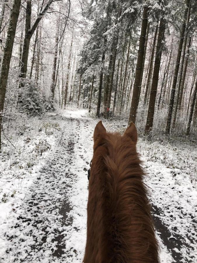 Ferienhof Weber Nieratz Wangen im Allgäu Zewnętrze zdjęcie